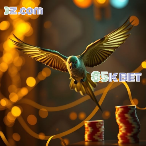 Recursos Exclusivos da Seção VIP do 85k bet login